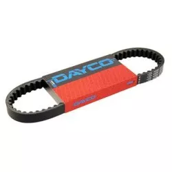 Dayco - Courroie Hyper Renforcée 844 x 22
