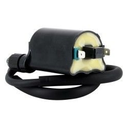 Sifam - Bobine d'allumage Honda 12V - 2.7 Ohm Entraxe 80mm 2 Fils
