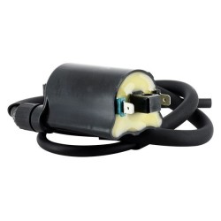 Sifam - Bobine d'allumage Honda 12V - 2.2 Ohm Entraxe 80mm