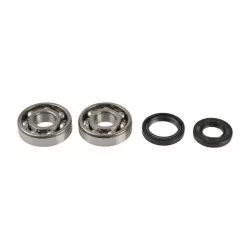 Athena - Kit Révision Vilebrequin Spy + Roulements Yz125 1994-2000