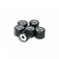 Malossi - Kit Galets x6 Ø 20x17 - 7g