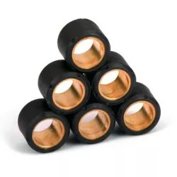 Sifam - Kit Galets de Variateur x6 Ø20x12 - 9g