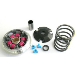 Athena - Variateur Peugeot 50/100 2T Sachs 50 6 Galets 16x13-8g / 1 Ressort