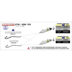 Silencieux RACE-TECH ARROW 52509AO Aluminium embout inox pour Malaguti XTM / XSM 125 2019 et +