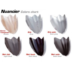 Bulle Haute protection Ermax- Ducati 750 et 900 SS 1988-1990