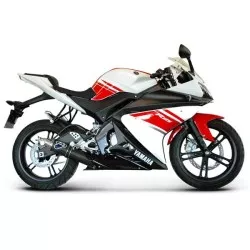 Ligne complète Termignoni pour Yamaha YZF-R 125 2008-2013