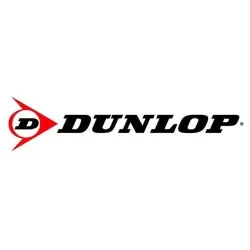Dunlop - Pneu Scooter 120/70R14 55H TL GPR-100F