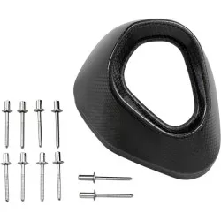 Cloche carbone V-EC31 de rechange pour Silencieux Akrapovic S-Y8SO1-HRC sur Yamaha FZ8 / Fazer 2010- 2015