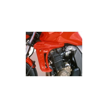 Écopes de radiateur Ermax pour Kawasaki Z750 2004-2006
