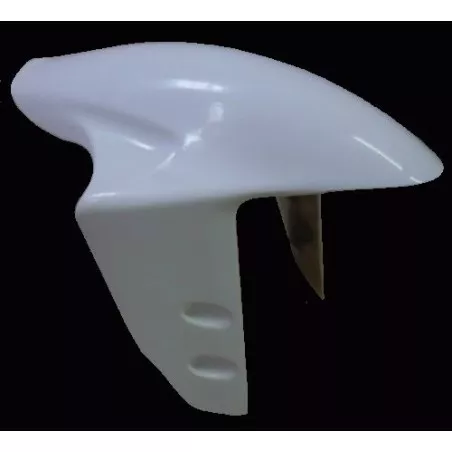 Poly Ducati 899 / 1199 Panigale 2011-2014. Garde Boue avant