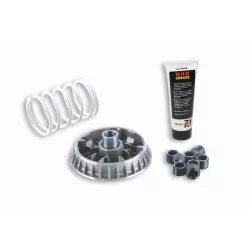 Malossi - Variateur Multivar 2000 - SUZUKI BURGMAN 400 K10 ie