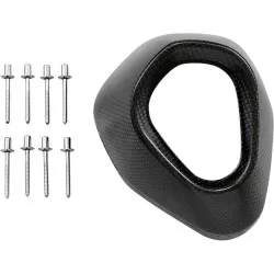 Cloche carbone V-EC29 de rechange pour Silencieux Akrapovic