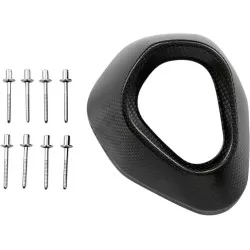 Cloche carbone V-EC30 de rechange pour Silencieux Akrapovic