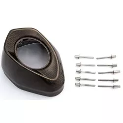 Cloche carbone V-EC290 de rechange pour Silencieux Akrapovic