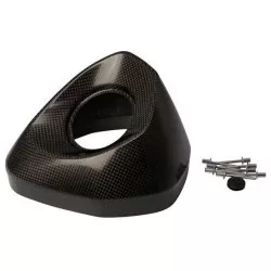 Cloche carbone V-EC324 de rechange pour Silencieux Akrapovic