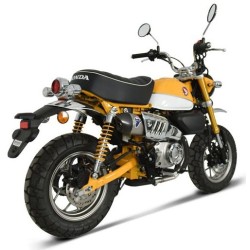 Silencieux Termignoni ovale Titane embout carbone pour Honda 125 Monkey 2018 et +
