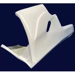 Partie basse du carénage, sabot Poly pour ligne d'origine sur BMW S1000RR 2023 et +