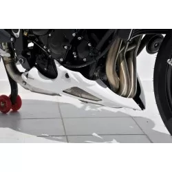 Sabot moteur Ermax pour Triumph Street Triple 675 2012
