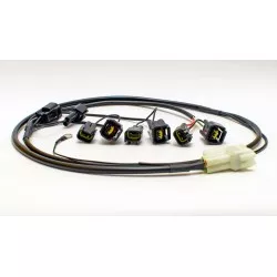 Faisceau QSH-P4F pour Quick Shifter Easy de Healtech iQSE