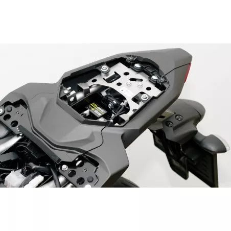QuickShifter Easy de Healtech + faisceau QSH-P2B