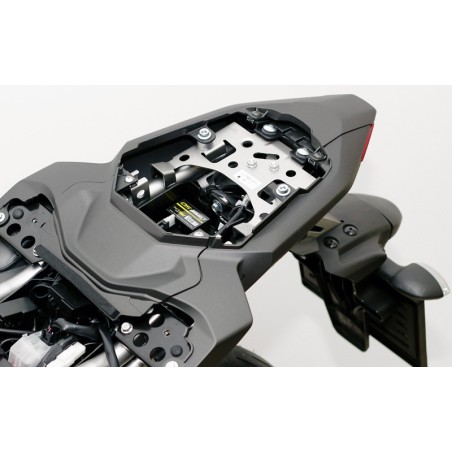 QuickShifter Easy de Healtech + faisceau QSH-P1A