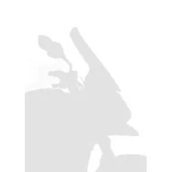 Bulle Isotta Royal Enfield Meteor 350 Fireball 2021 et +