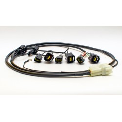 Faisceau QSH-F1F pour Quick Shifter Easy de Healtech iQSE