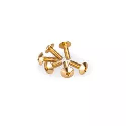 Kit de 6 Vis M5x15 Tête diamètre 11,8mm PUIG21763