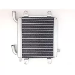 Radiateur BIHR - MBK Nitro 50 1999-2016, Nitro Naked 2005-2017, Yamaha NS 50 2013-2016, YQ 50 2002-2017