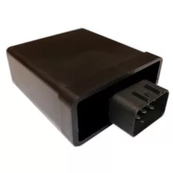 Boitier CDI Tecnium Yamaha YFM 300 Grizzly 2012-2013