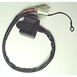 Boitier CDI Tecnium Yamaha PW 80 1986-2011