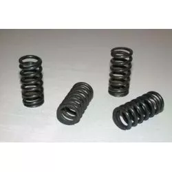 Kit ressorts d'embrayage Tourmax Suzuki GSXR 750 1990-1995, RF 600 R 1993-1997