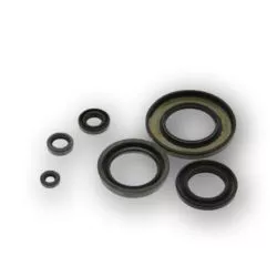 Jeu de joints spi bas moteur CENTAURO - HD Sportster XL 1200 1991-2006, Buell XB-9R 2002-2008, M2/S1/S3/X1 1997-2002