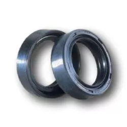 Jeu de joints spi de vilebrequin CENTAURO - Pour moteur Euro 3