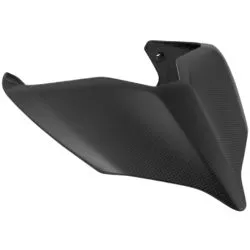 Coque arrière LIGHTECH carbone mat - Ducati Panigale V4 R/S 2018-2024 & Streetfighter V4 2020-2024