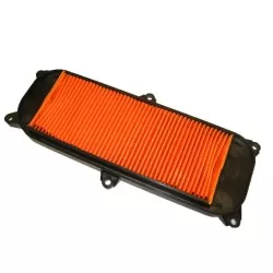Sifam - Filtre à Air Kymco PEOPLE 250 2006/2007 - Similaire HFA5006