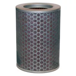 Sifam - Filtre à Air Daelim VT/VS 125