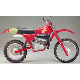 BETA MX 250