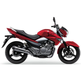 SUZUKI INAZUMA GW 250