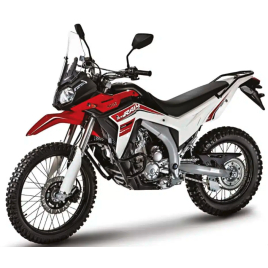 VOGE 300 RALLY
