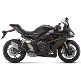 QJ MOTOR SRK 800 RR